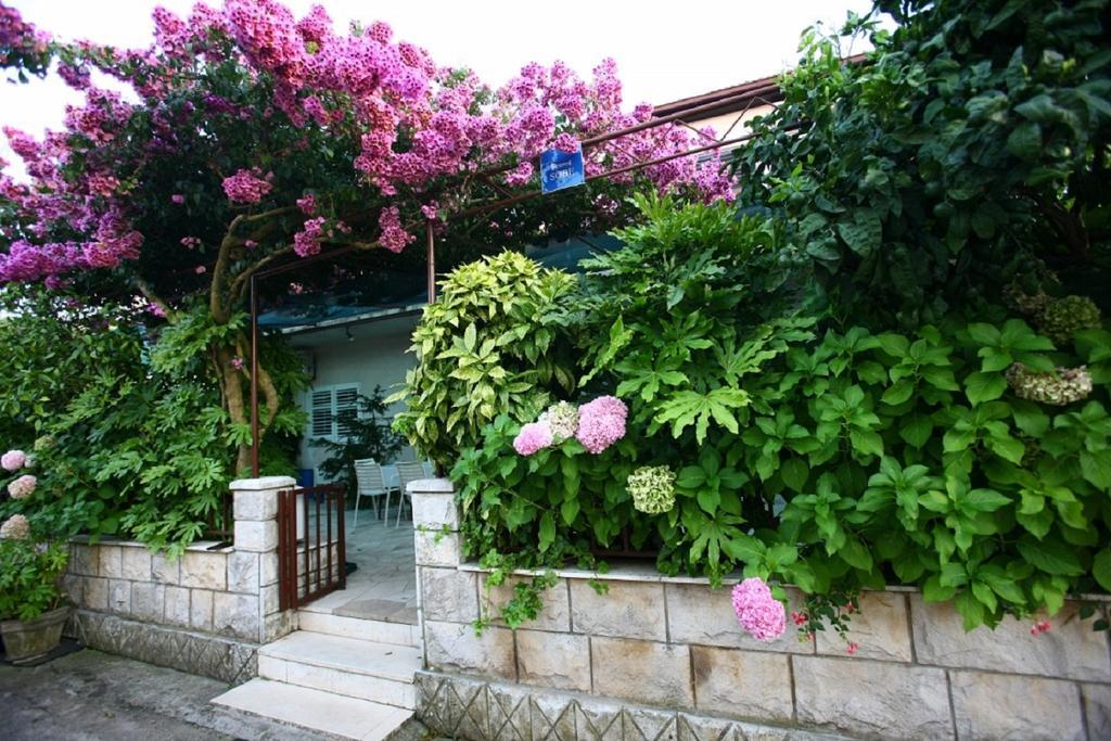 Apartments Indira Lovište Rom bilde